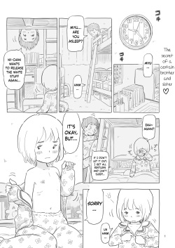 Aru Kyoudai no Himitsu