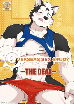 Overseas Sex Study： The Deal