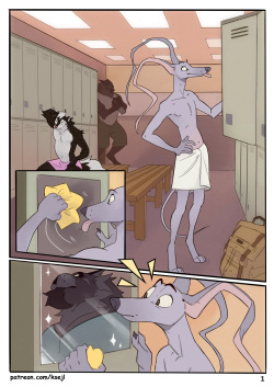 GatoPerro