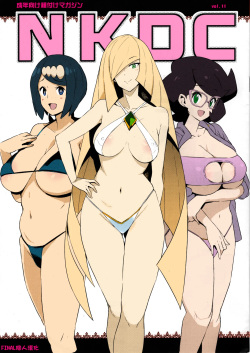 NKDC Vol  11